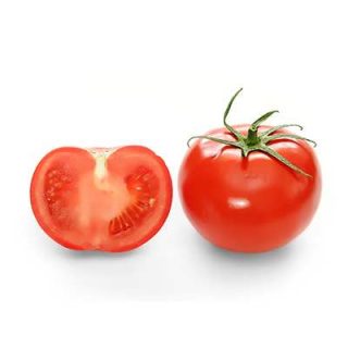 گوجه فرنگی آس 55