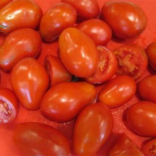 گوجه فرنگی پومودورو تازه