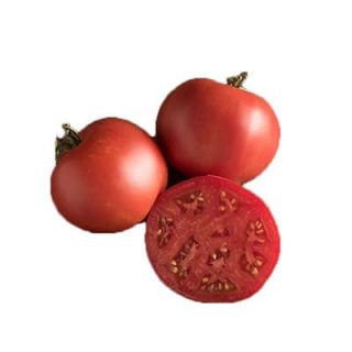 گوجه فرنگی موسکوویچ