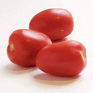 گوجه فرنگی تخم مرغی قرمز