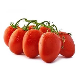گوجه فرنگی ws 4040