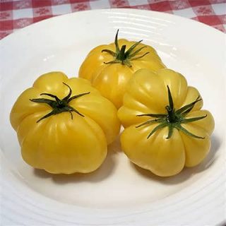گوجه فرنگی دلمه ای زرد کامل