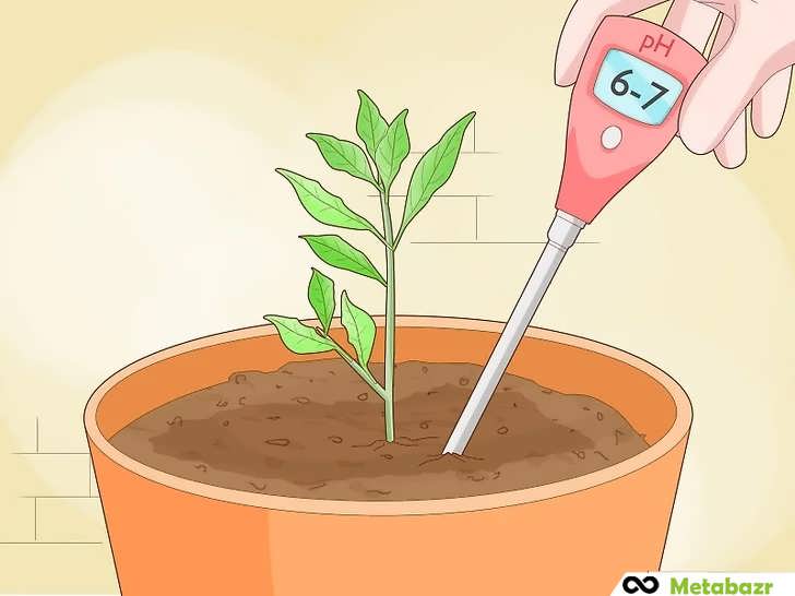 آزمایش خاک انجام دهید