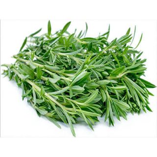 مرزه کوهی