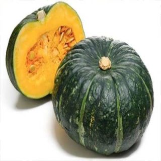 بذر کدو تنبل ژاپنی در زمین