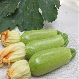 کدو خورشتی چارلیستون از بالا