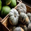 بذر کدو تنبل ژاپنی در سبد