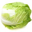 بوته کاهو ژاپنی از نزدیک