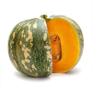 کدو تنبل ببری گرد اصلی