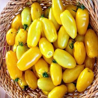 گوجه فرنگی موزی (گوجه ماری زرد ببری درختی) در سبد