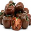 بذر گوجه فرنگی حنایی بوته ای