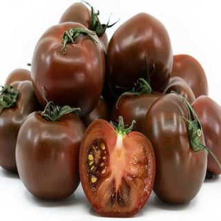 بذر گوجه فرنگی حنایی بوته ای