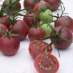 بوته گوجه زیتونی خرمایی درختی برش خورده