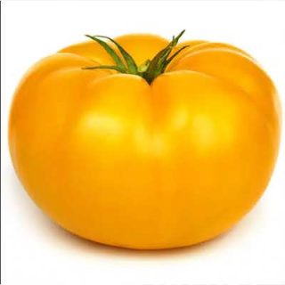 گوجه فرنگی غول پیکر زرد بلژیکی