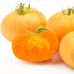 گوجه فرنگی غول پیکر زرد بلژیکی برش خورده