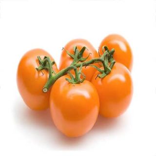 بذر گوجه فرنگی غول پیکر پرتغالی درختی پس زمینه