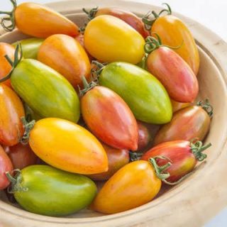 بذر گوجه زیتونی ببری میکس در بشقاب
