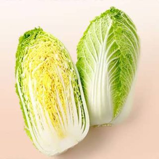 بوته کاهو ژاپنی