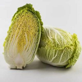 بوته کاهو ژاپنی رش خورده