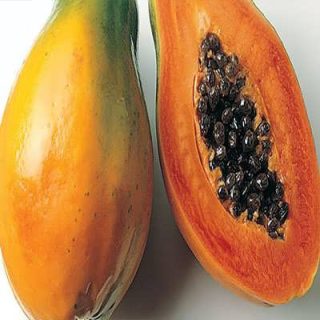 میوه پاپایا گلابی از روبرو