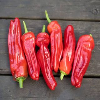 فلفل پاپریکا قرمز روی میز
