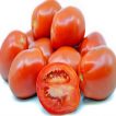 گوجه زیتونی قرمز درختی پس زمینه