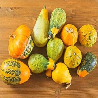 کدو حلوایی زینتی از بالا