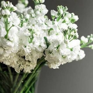 دسته گل صابونی سفید