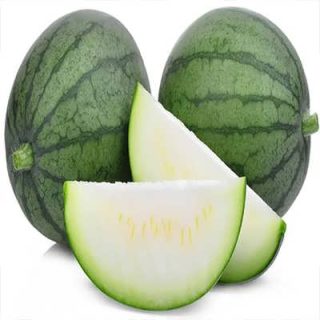 بذر هندوانه سفید