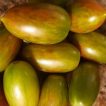 گوجه زیتونی ببری زرد درختی از روبرو