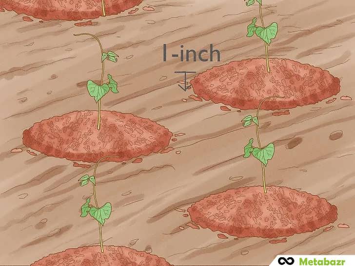 افزودن لایه مالچ