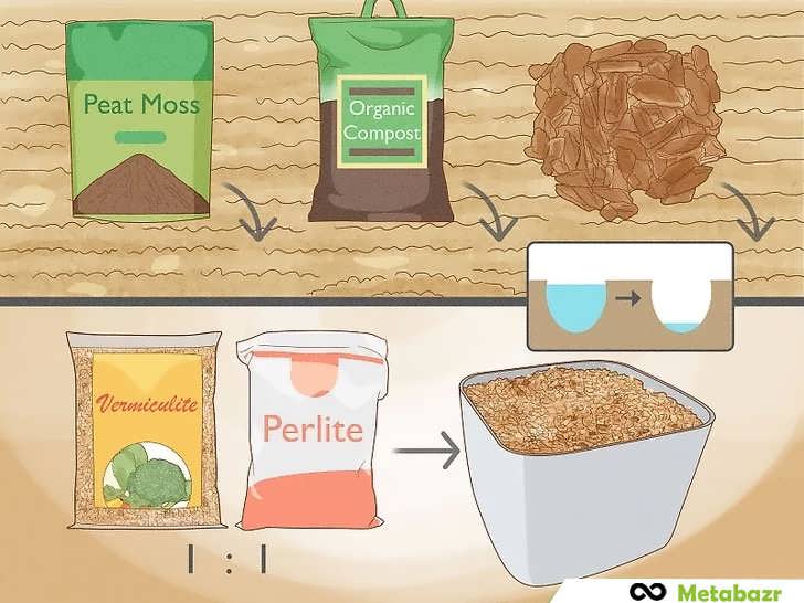 خاک و زهکشی مناسب