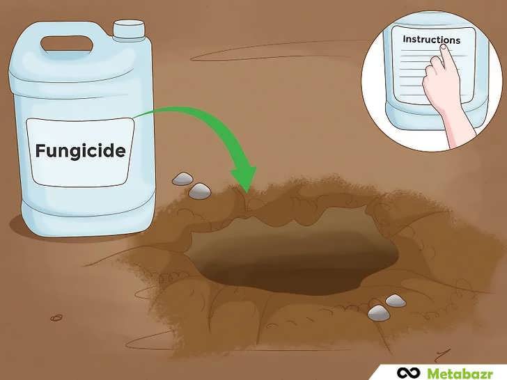 استفاده از قارچ کش روی خاک