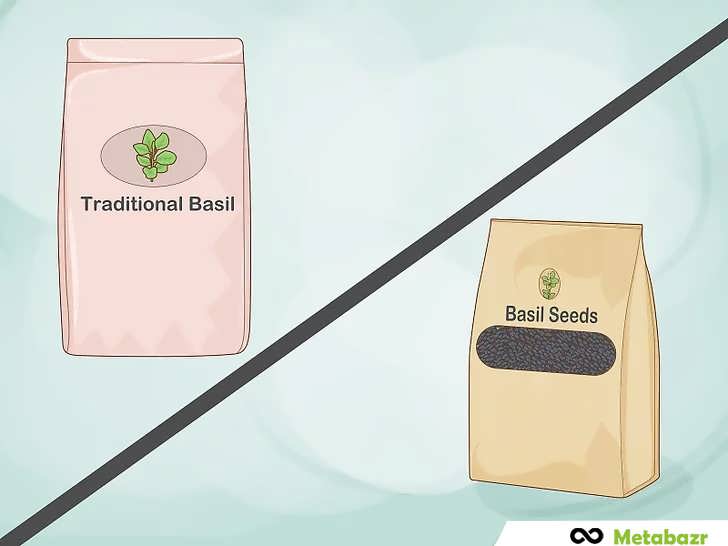 بذر ریحان از جای معتبر