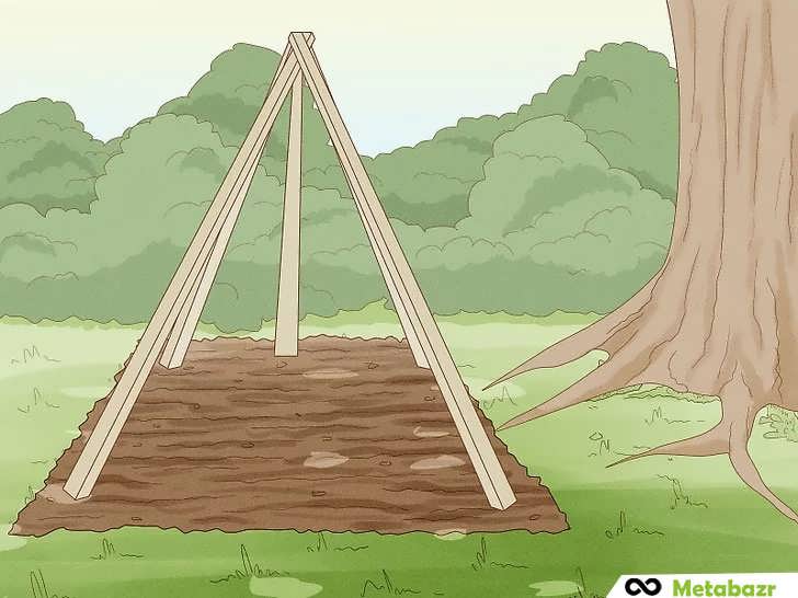 نصب داربست لوبیا