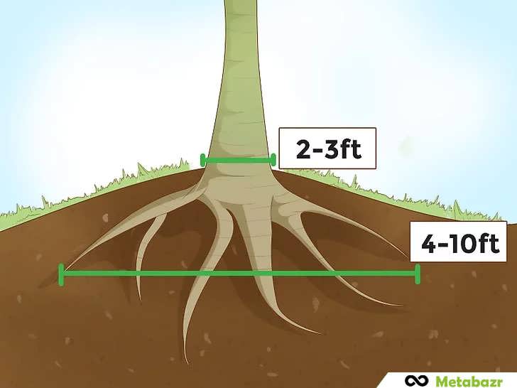 ساخت تپه خاکی