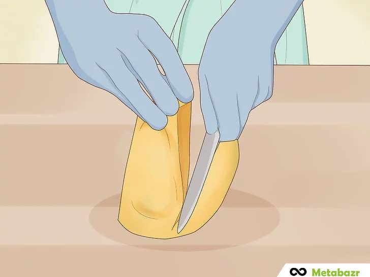 بررسی زنده بودن بذر انیه