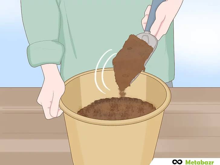 گلدان را با خاک پر کنید