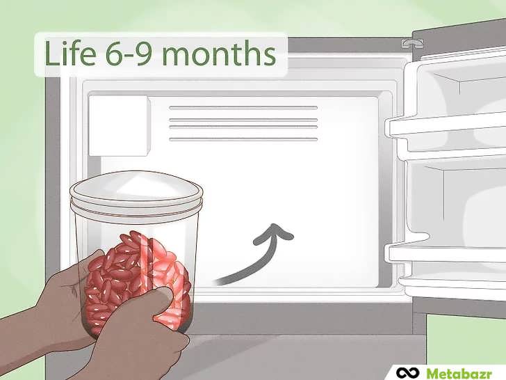 فریز کردن لوبیا تازه