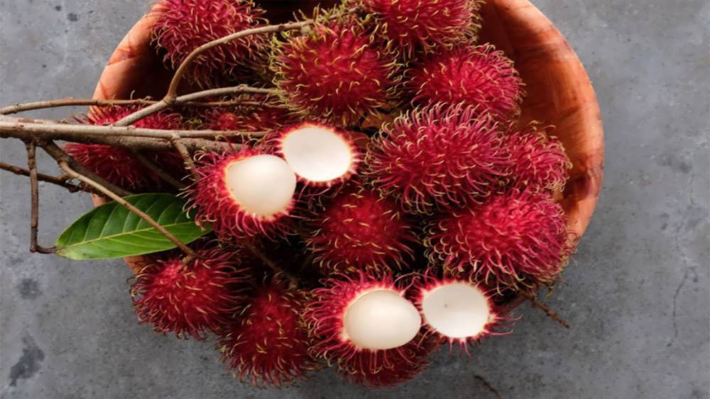 کاسه رامبوتان