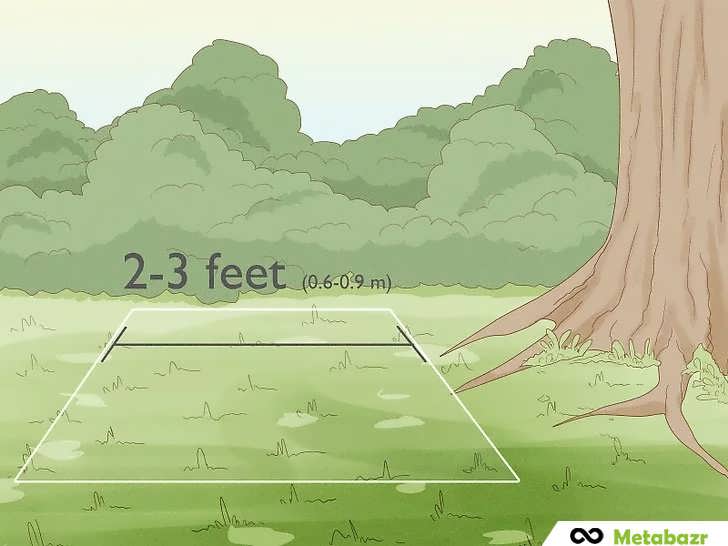 اندازه محل کاشت لوبیا