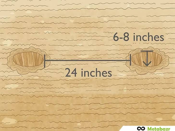 عمق و فاصله گودال های کاشت
