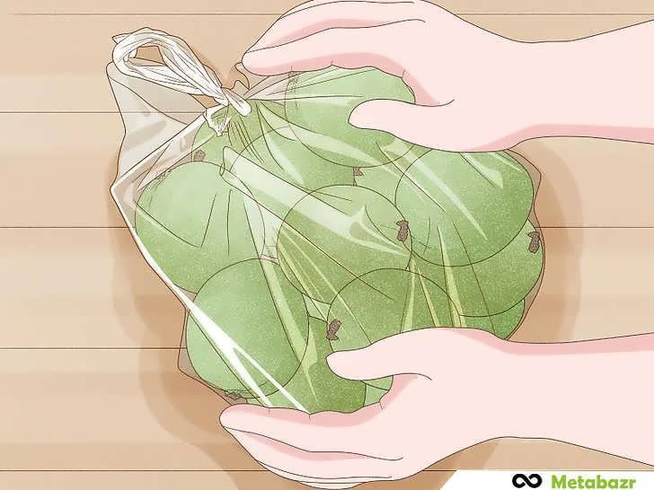 خرید گردو برای کاشت