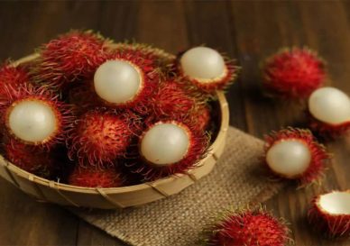 پس زمینه رامبوتان