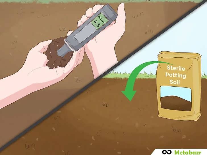 آزمایش pH خاک و استفاده از خاک گلدان استریل