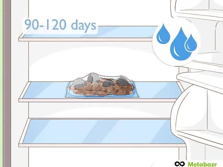 سرمادهی زمستانی گردو