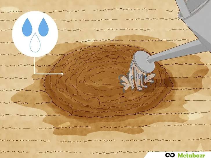 آبیاری گودال پس از کاشت