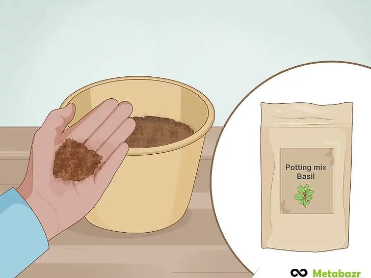 خاک مناسب ریحان