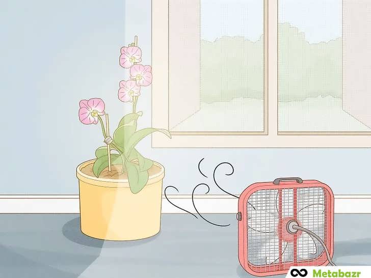 جریان هوای ارکیده