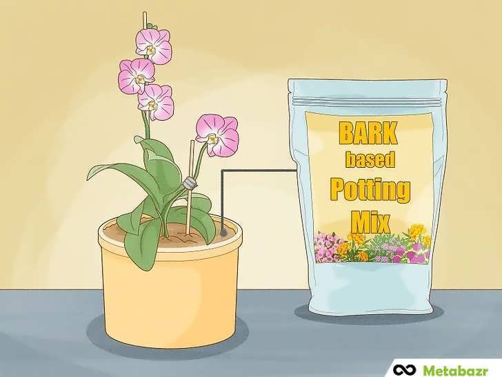 بستر کاشتِ پوستهٔ درخت برای ارکیده